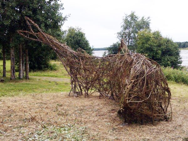 Siika_kaaospunonta_800_600